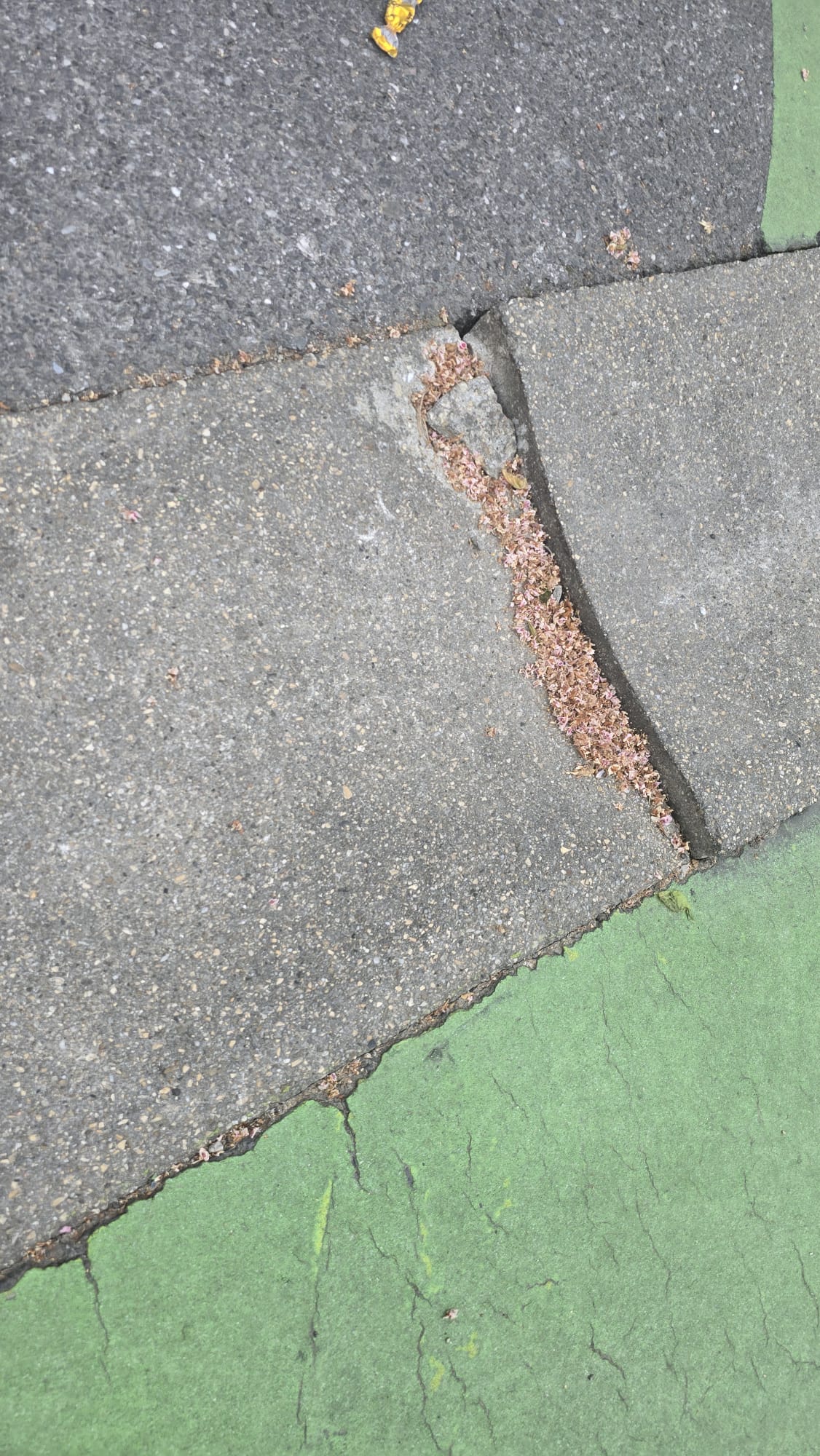 Photo du signalement : Entretien & dégradations — Chemin des Ouches 14, Genève